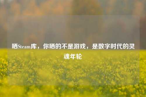 晒Steam库,你晒的不是游戏,是数字时代的灵魂年轮