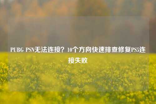 PUBG PSN无法连接？10个方向快速排查修复PS5连接失败