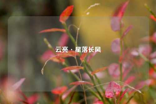 云亮·星落长风