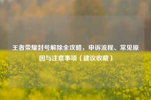 王者荣耀封号解除全攻略,申诉流程、常见原因与注意事项(建议收藏)