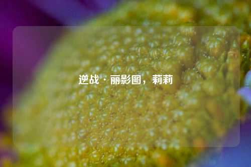逆战·丽影图，莉莉