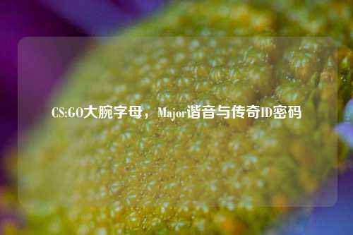 CS:GO大腕字母,Major谐音与传奇ID密码