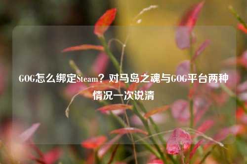 GOG怎么绑定Steam?对马岛之魂与GOG平台两种情况一次说清