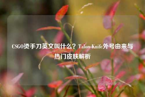 CSGO烫手刀英文叫什么?Talon Knife外号由来与热门皮肤解析