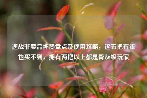 逆战非卖品神器盘点及使用攻略,这五把有钱也买不到,拥有两把以上都是骨灰级玩家