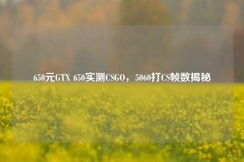 650元GTX 650实测CSGO,5060打CS帧数揭秘