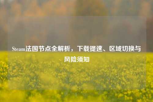 Steam法国节点全解析，下载提速、区域切换与风险须知