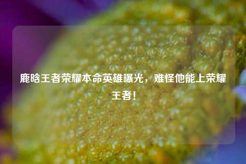 鹿晗王者荣耀本命英雄曝光,难怪他能上荣耀王者!