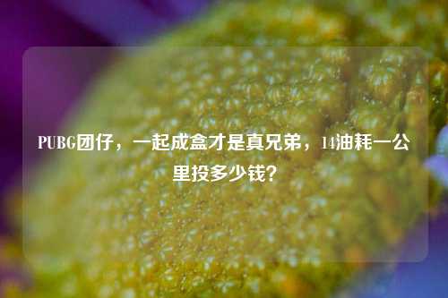 PUBG团仔,一起成盒才是真兄弟,14油耗一公里投多少钱?