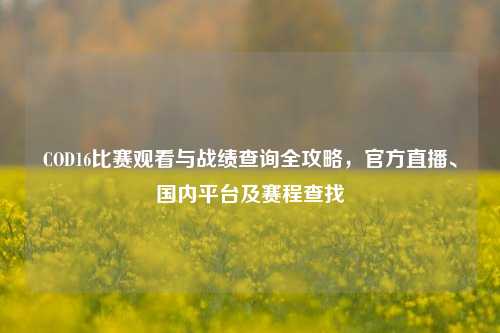 COD16比赛观看与战绩查询全攻略，官方直播、国内平台及赛程查找