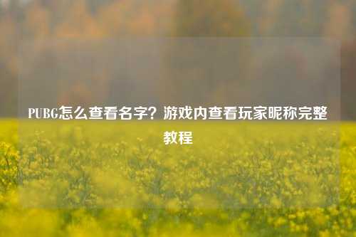 PUBG怎么查看名字?游戏内查看玩家昵称完整教程