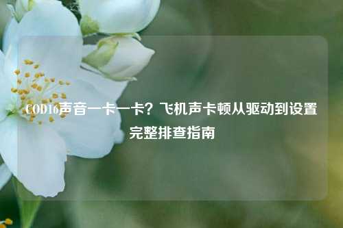COD16声音一卡一卡？飞机声卡顿从驱动到设置完整排查指南