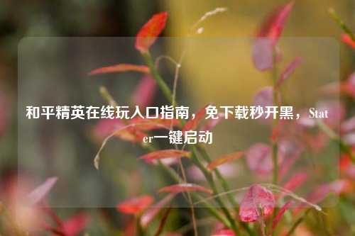 和平精英在线玩入口指南,免下载秒开黑,Stater一键启动