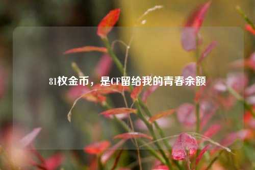 81枚金币，是CF留给我的青春余额