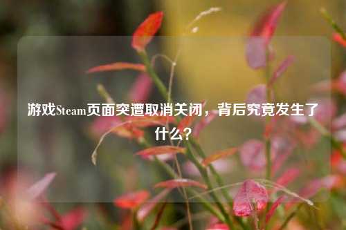 游戏Steam页面突遭取消关闭,背后究竟发生了什么?