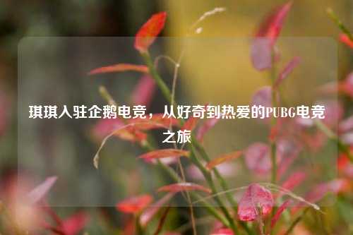 琪琪入驻企鹅电竞,从好奇到热爱的PUBG电竞之旅