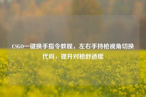 CSGO一键换手指令教程，左右手持枪视角切换代码，提升对枪舒适度