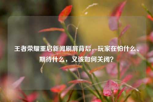王者荣耀重启新闻刷屏背后,玩家在怕什么、期待什么,又该如何关闭?