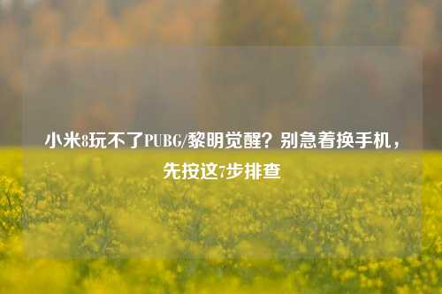 小米8玩不了PUBG/黎明觉醒?别急着换手机,先按这7步排查