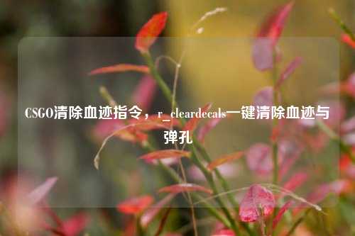 CSGO清除血迹指令,r_cleardecals一键清除血迹与弹孔