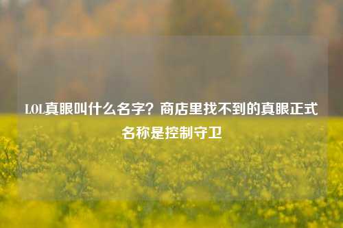 LOL真眼叫什么名字？商店里找不到的真眼正式名称是控制守卫