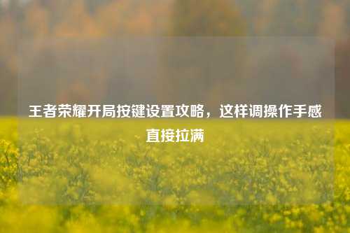 王者荣耀开局按键设置攻略，这样调操作手感直接拉满