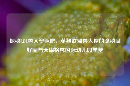 探秘LOL兽人资源吧，英雄联盟兽人控的隐秘同好圈与天津格林国际幼儿园学费