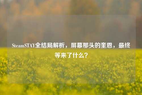 SteamSTAY全结局解析,屏幕那头的奎恩,最终等来了什么?