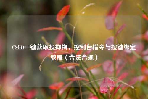 CSGO一键获取投掷物，控制台指令与按键绑定教程（合法合规）