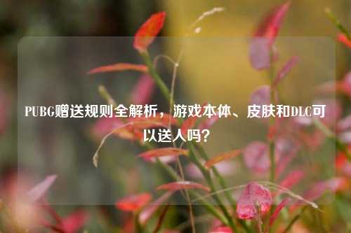 PUBG赠送规则全解析，游戏本体、皮肤和DLC可以送人吗？