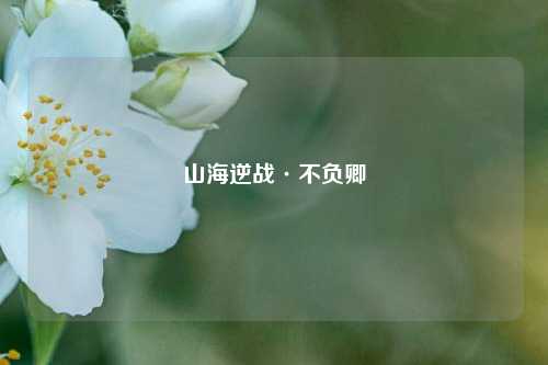 山海逆战·不负卿