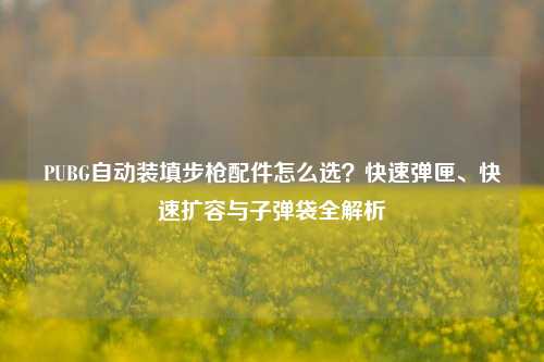 PUBG自动装填步枪配件怎么选？快速弹匣、快速扩容与子弹袋全解析