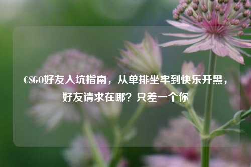 CSGO好友入坑指南，从单排坐牢到快乐开黑，好友请求在哪？只差一个你