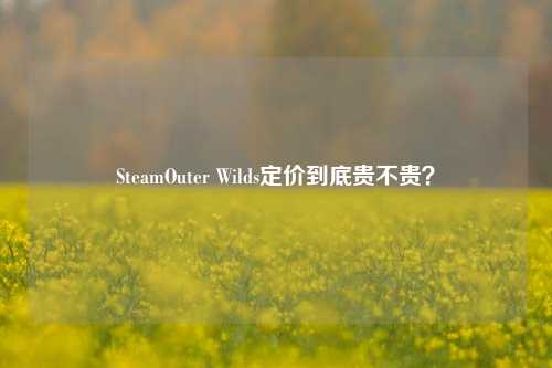 SteamOuter Wilds定价到底贵不贵?