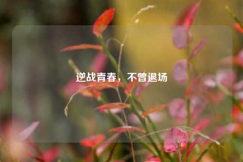 逆战青春,不曾退场