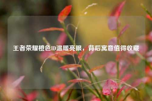 王者荣耀橙色ID温暖亮眼,背后寓意值得收藏