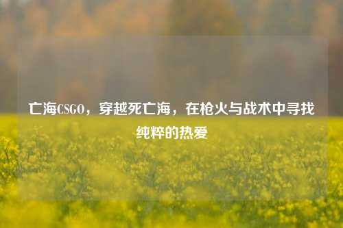 亡海CSGO,穿越死亡海,在枪火与战术中寻找纯粹的热爱