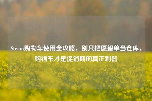 Steam购物车使用全攻略,别只把愿望单当仓库,购物车才是促销期的真正利器