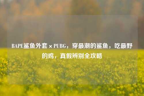 BAPE鲨鱼外套×PUBG,穿最潮的鲨鱼,吃最野的鸡,真假辨别全攻略