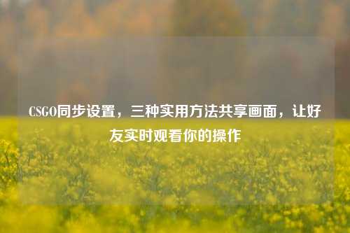 CSGO同步设置,三种实用方法共享画面,让好友实时观看你的操作