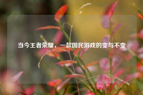 当今王者荣耀，一款国民游戏的变与不变