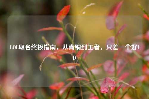 LOL取名终极指南，从青铜到王者，只差一个好ID