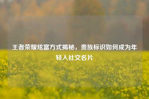王者荣耀炫富方式揭秘，贵族标识如何成为年轻人社交名片