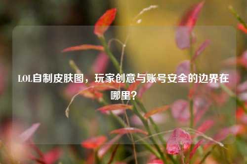 LOL自制皮肤图，玩家创意与账号安全的边界在哪里？
