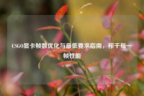 CSGO显卡帧数优化与最低要求指南，榨干每一帧性能