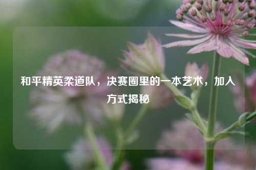 和平精英柔道队,决赛圈里的一本艺术,加入方式揭秘