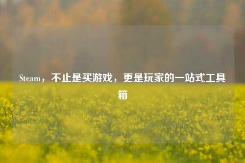 Steam，不止是买游戏，更是玩家的一站式工具箱