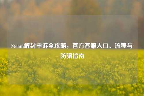 Steam解封申诉全攻略,官方客服入口、流程与防骗指南