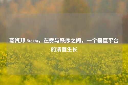 蒸汽邦 Steam,在雾与秩序之间,一个垂直平台的清醒生长