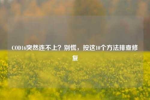 COD16突然连不上？别慌，按这10个方法排查修复